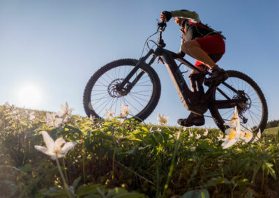 E-Bike Touren fördern Teambuilding durch gemeinsame Erlebnisse, das Überwinden von Herausforderungen, verbesserte Kommunikation und Zusammenarbeit, das Feiern gemeinsamer Erfolge und bieten eine entspannte Umgebung für Teaminteraktionen